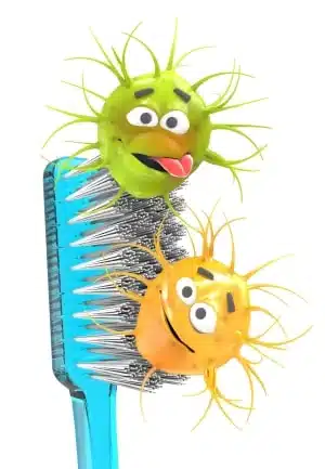 toothbrush