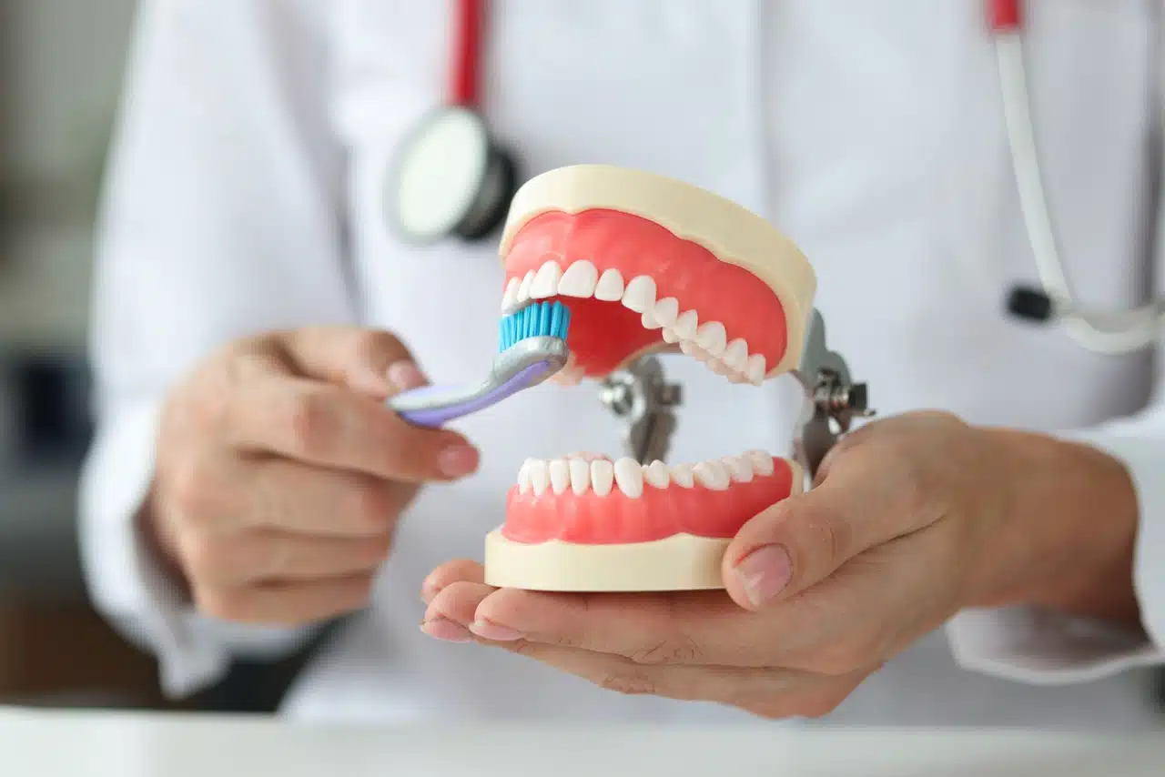 dentist holds jaw and shows how to properly brush your teeth with toothbrush